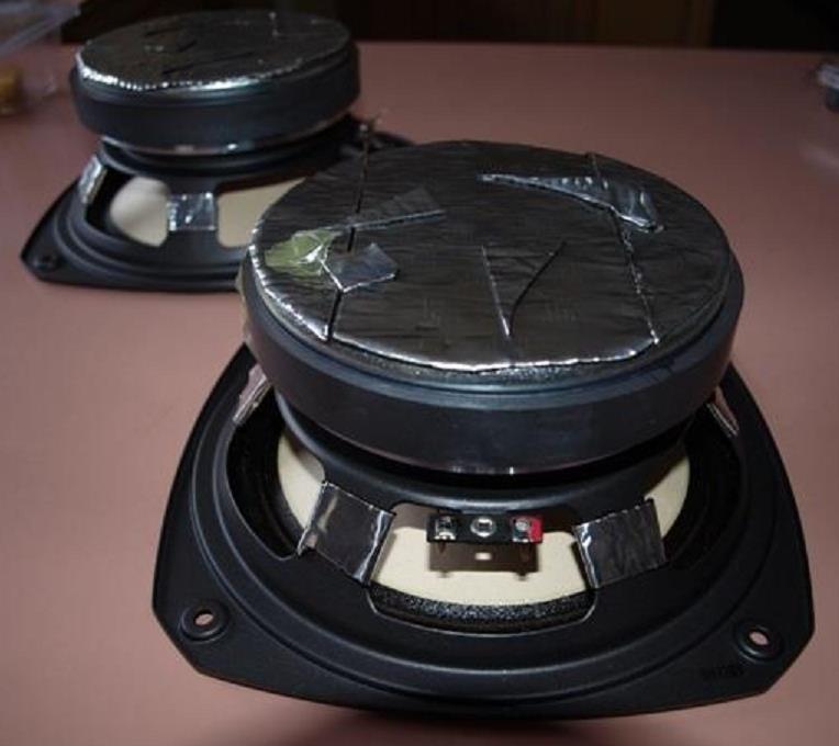 Frame Damping Fostex FE206En Fullrange Speaker Drivers