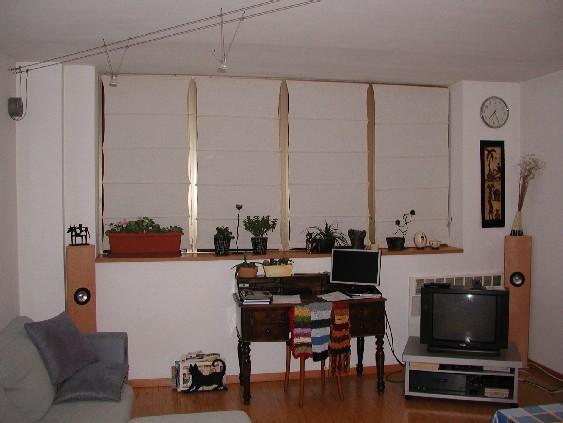 Tobler-One Speaker in the room